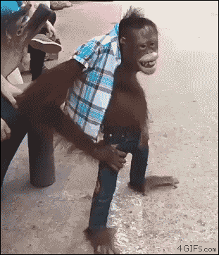 pinterestdownloader.com-1748253191.011859.gif