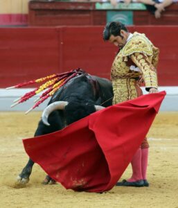 is bullfights legal